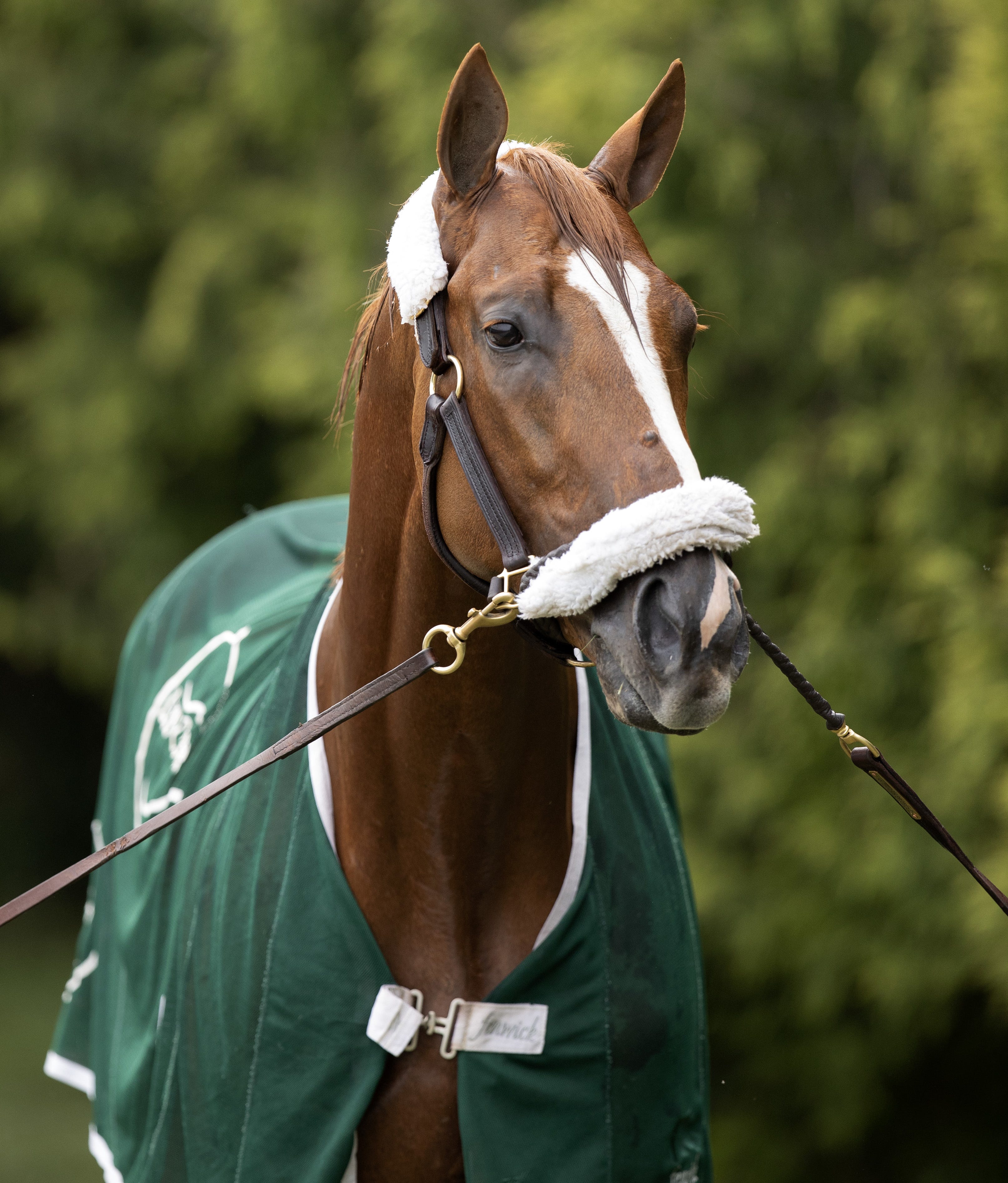 The Hollow Promise of American Drones in Nigeria